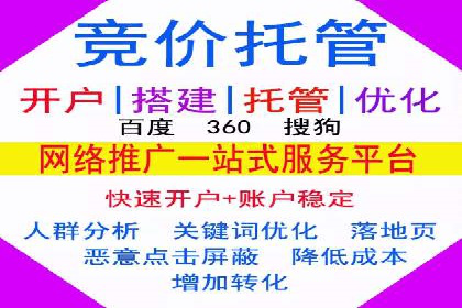 行业领先企业的SEM广告投放策略案例